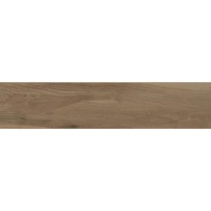 Porcelanato Esmaltado Acetinado Retificado 19x90.2 Reserva Natural Mate Extra Eliane