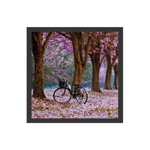 Quadro 33x33cm Decorativo Sem Vidro Bike Kapos