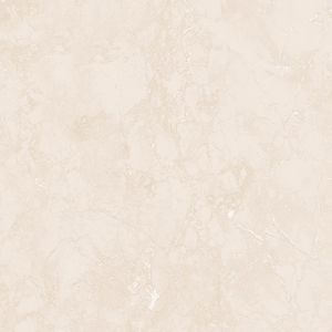 Piso Brilhante Bold 50x50 50HDA58 Extra Almeida