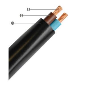Cabo PP Flexivel 2x2.5mm 500V (Com 10 metros)