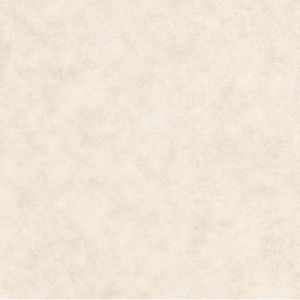 Piso Acetinado Bold 60x60 Mehro Beige 61/1115 Extra Esther