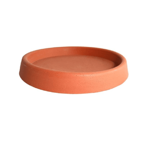 Prato M Terracota Vasap