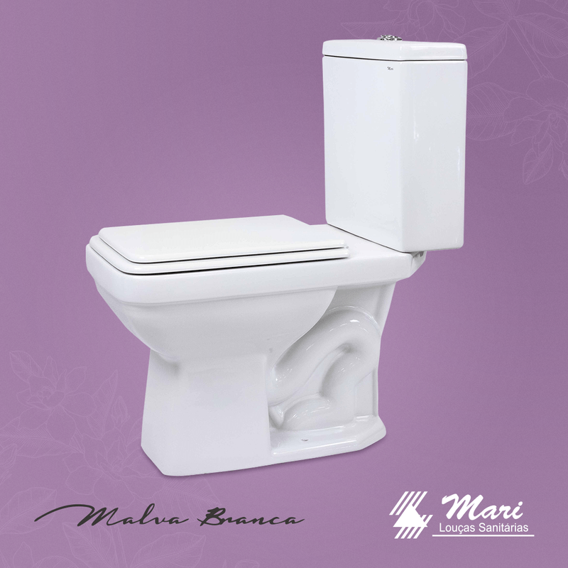 Vaso-sanitario-com-caixa-malva