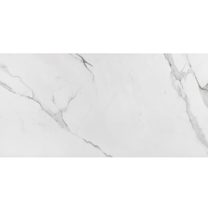 Porcelanato Esmaltado Polido Retificado 60x120 Place Extra Eliane