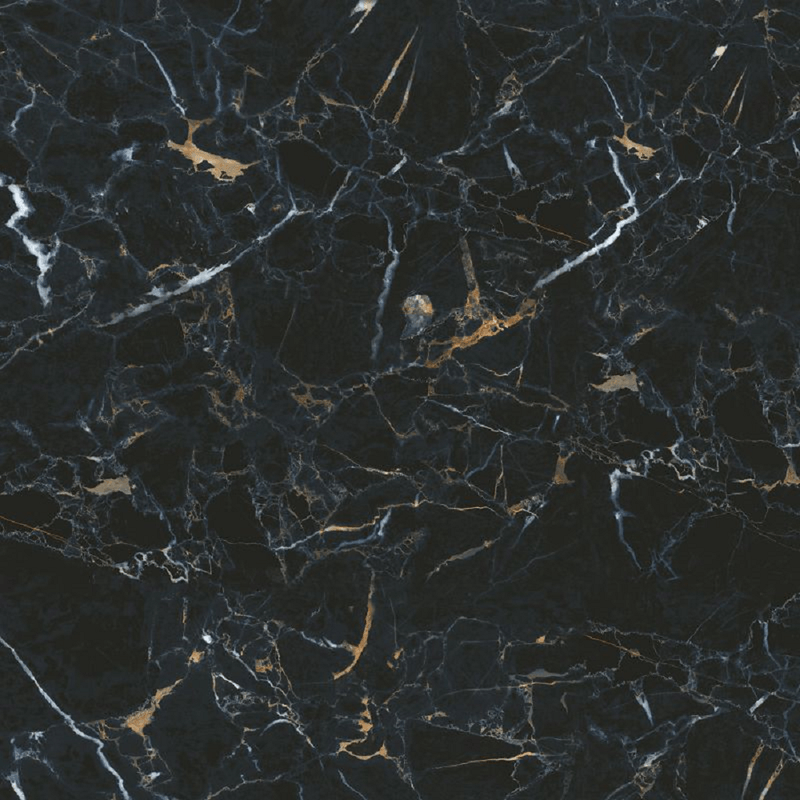 249254_01-Porc-Saint-Black
