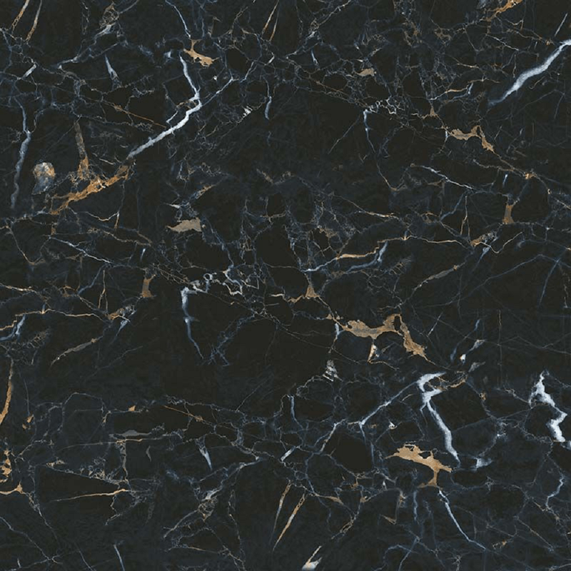 249254_02-Porc-Saint-Black