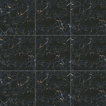 249254_03-Porc-Saint-Black