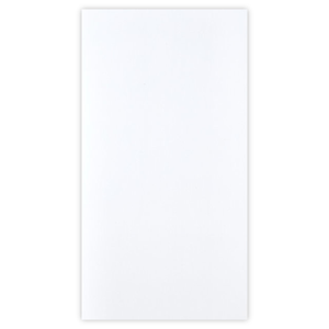 Revestimento Brilhante 32x60cm Branco NE60000 Extra Nova Era