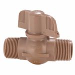 Registro_de_Esfera_34_com_Borboleta_Tigre_2032200