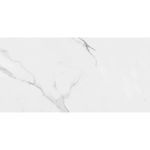 Revestimento_Brilhante_Retificado_45x90_Place_Extra_Eliane_2230260