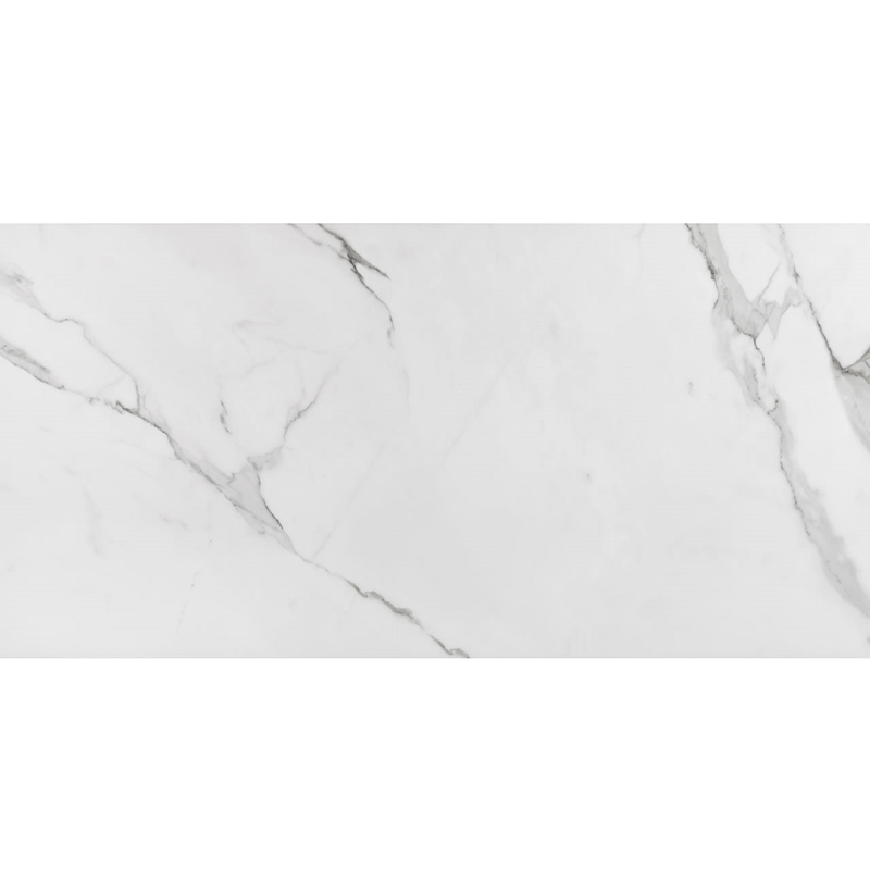 Porcelanato_Esmaltado_Acetinado_Retificado_60x120_Place_Extra_Eliane_2420630