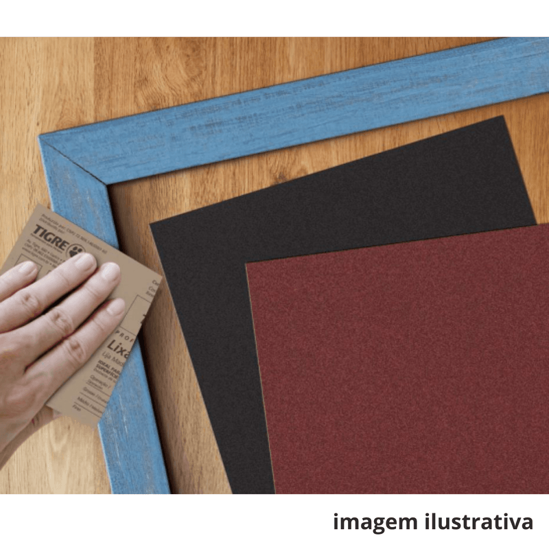 Lixa_N_220_Dgua_Tigre_1186641